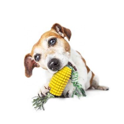 Indestructible Corn Rubber Interactive Rope Teeth Cleaning Chew Dog Toy